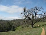 03-C Coe State Park